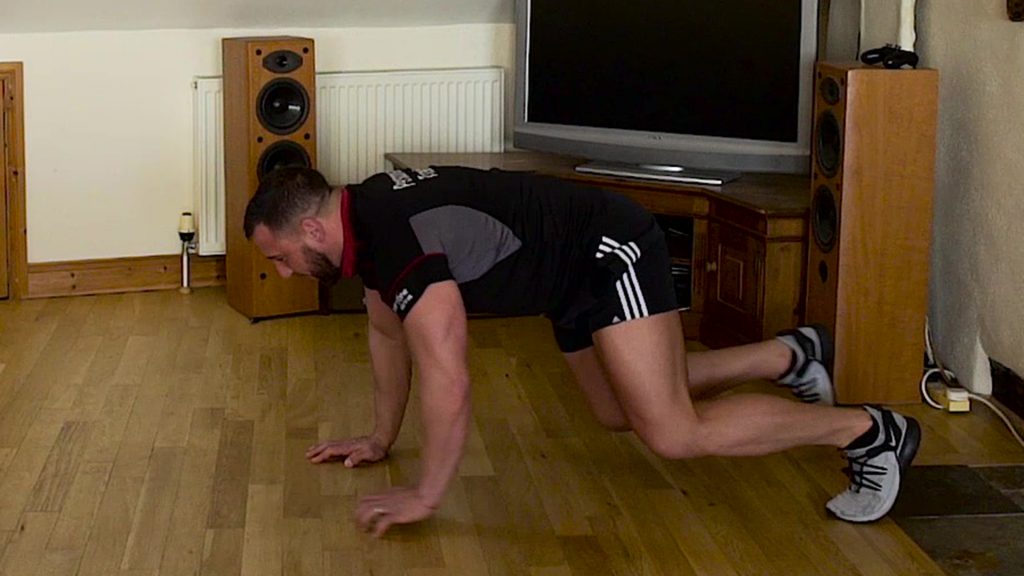 bear crawl home exercise