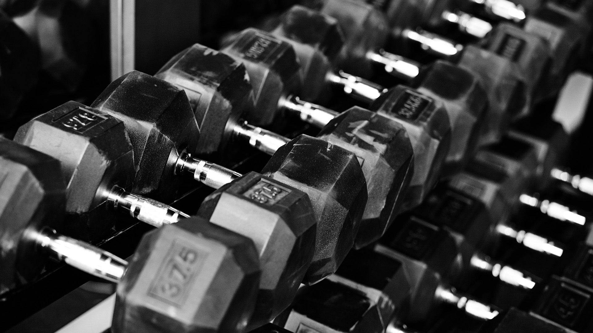 Dumbbell: The best workouts and benefits - Everyone Active